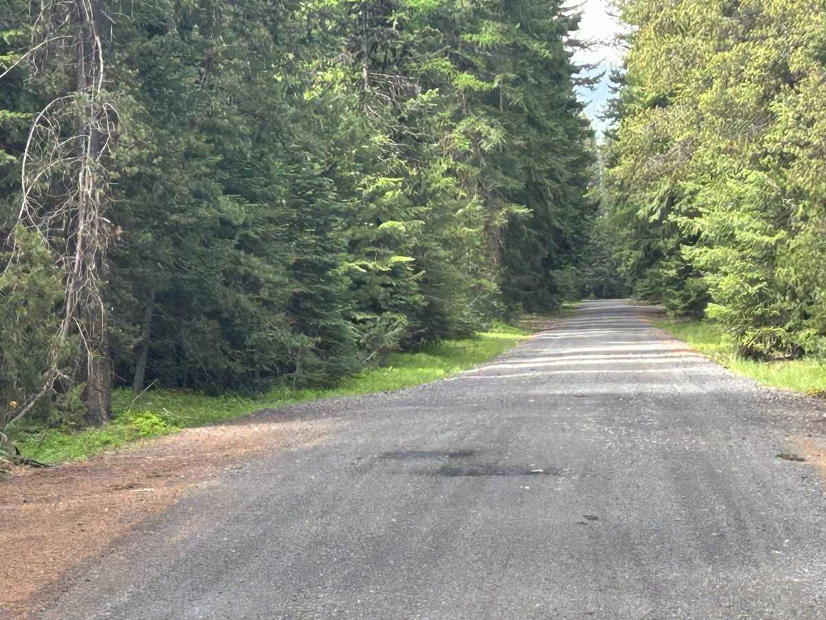 North Fork Little Naches - FS 1906 photo 2