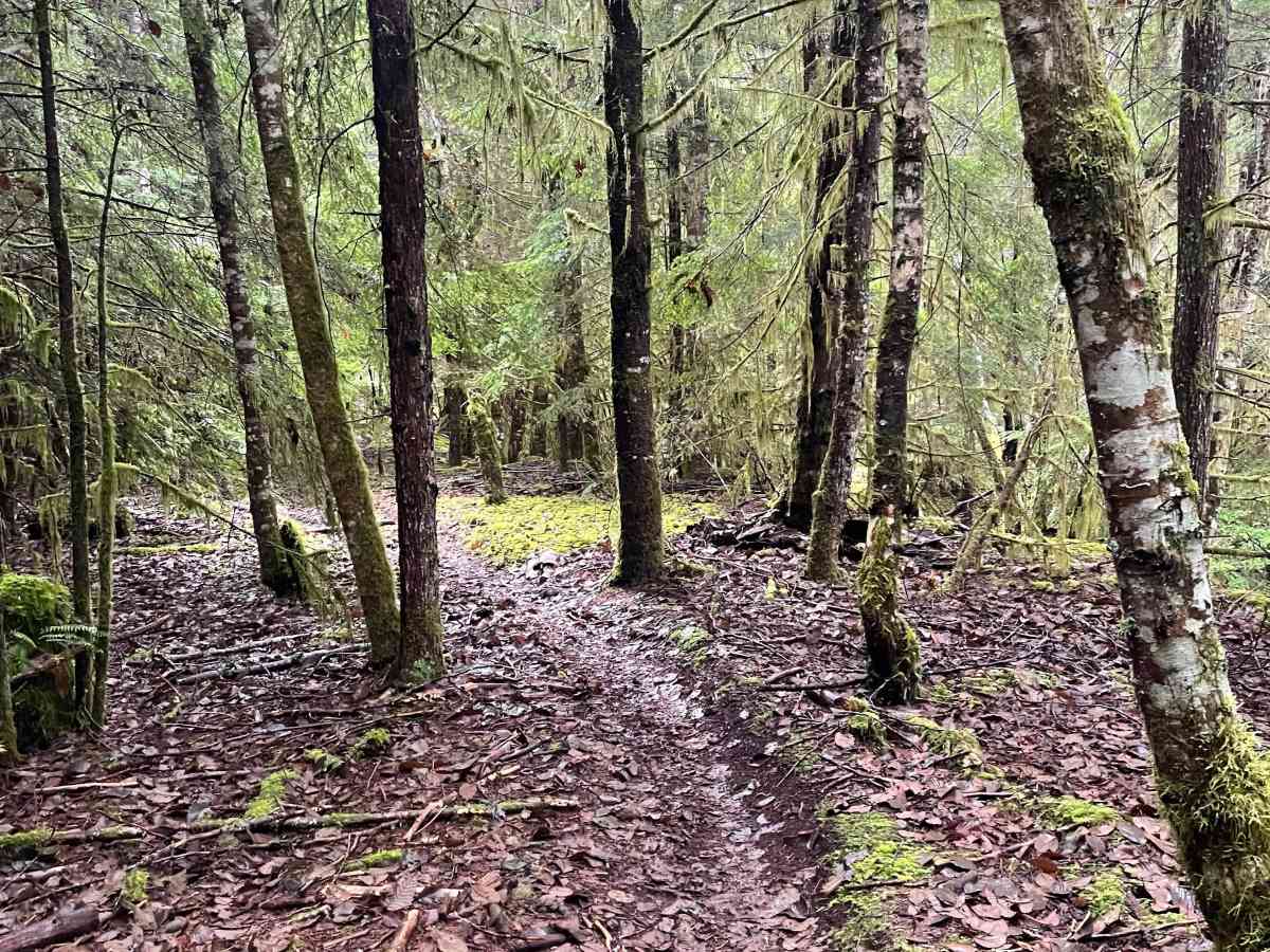Lava Ridge 1 photo 6