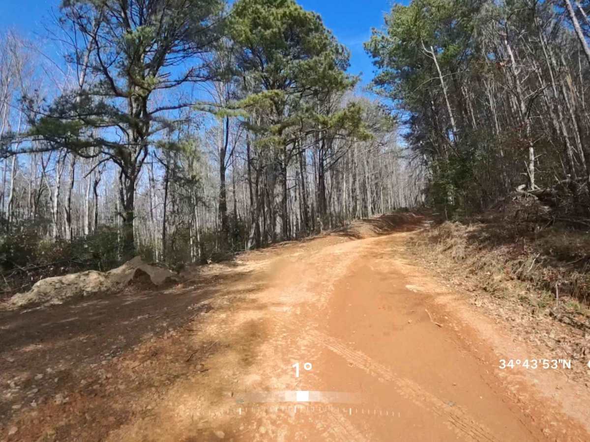 Vandiver Mountain Road - FS 418 photo 5
