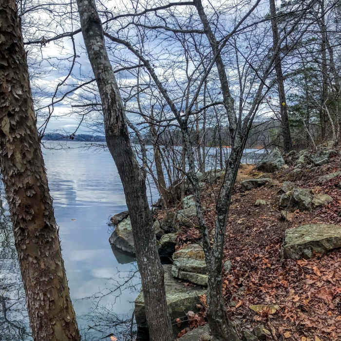 Near Badin Lake Trail #94