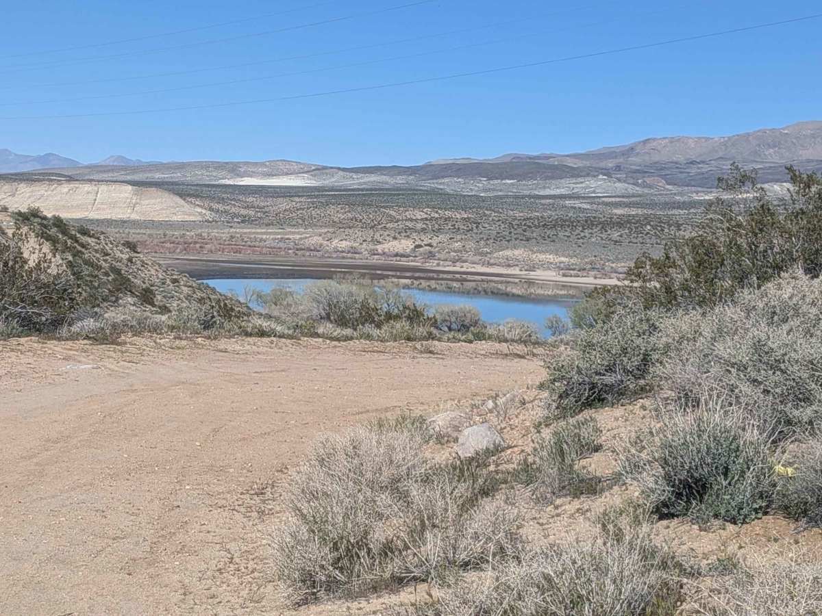 BLM SE781 trail photo