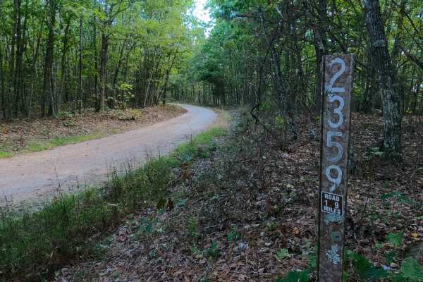 Lindsey Mountain - FS 2359