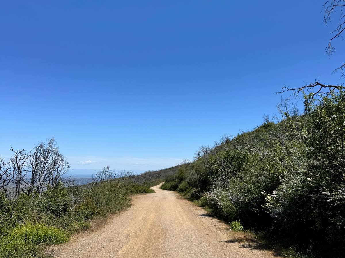 Road 307 photo 2