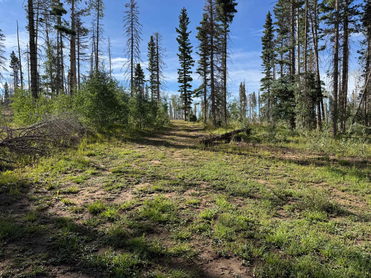 Little Hell Road photo 5