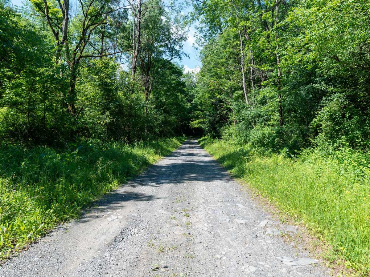 Brown Rd trail photo