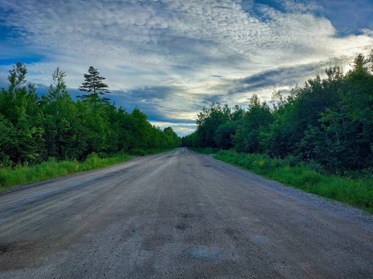 Knoll Spruce River Road photo 3