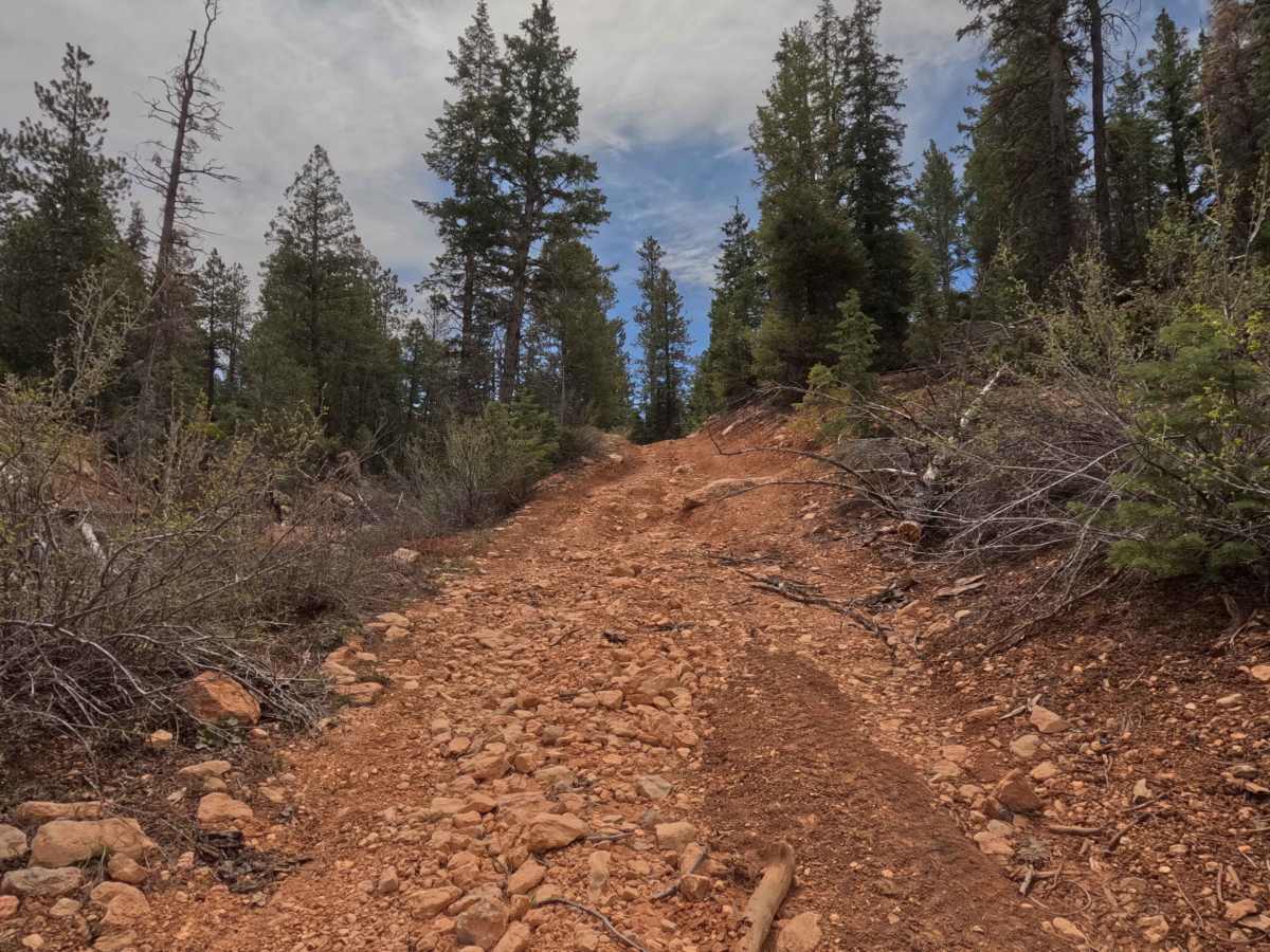 Ingram Hollow - FS 31129 photo 2