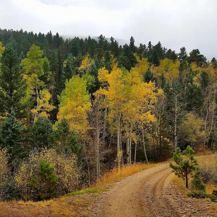 Near Switzerland Trail