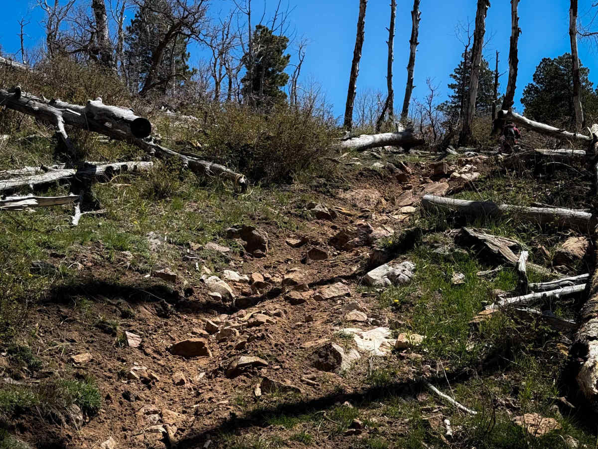 Trust Lands Singletrack  photo 3