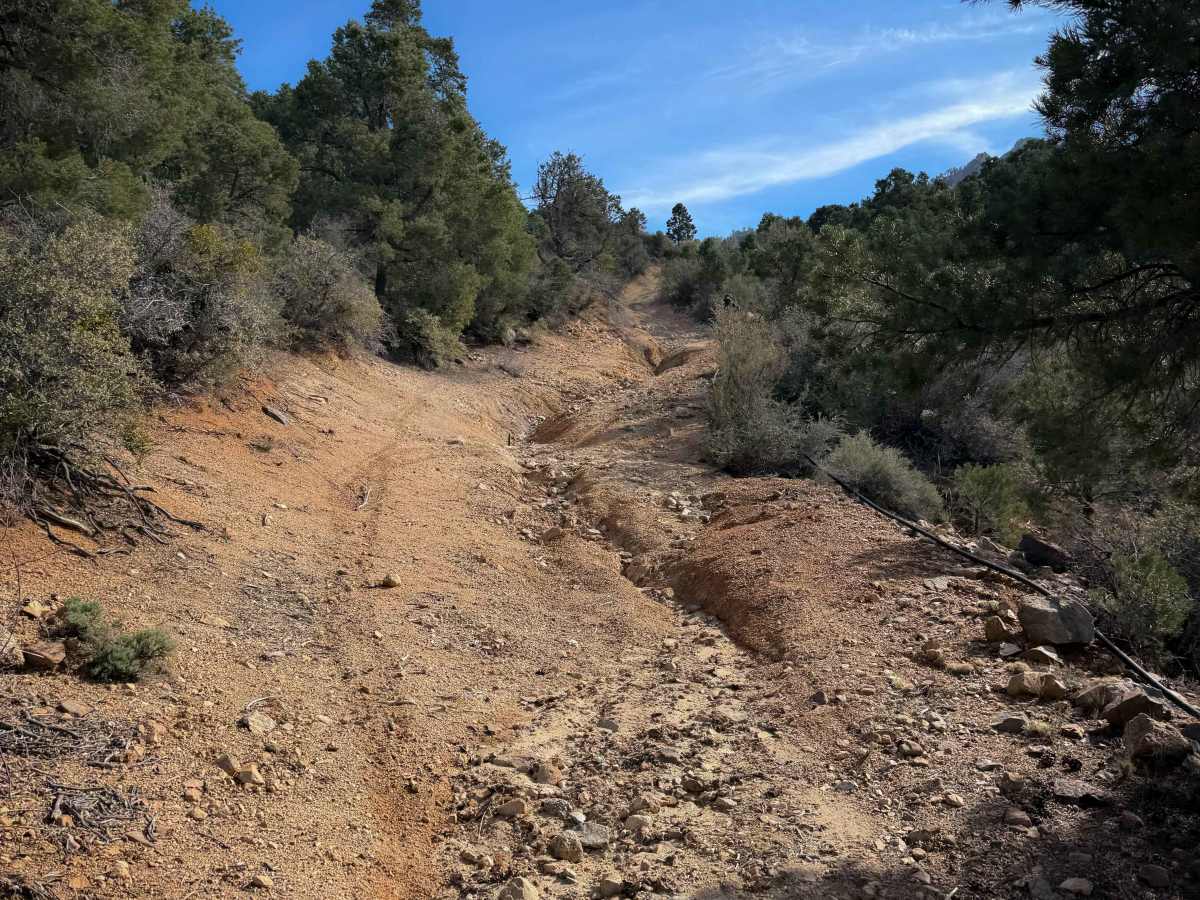 H1335/BLM 7127 photo 5