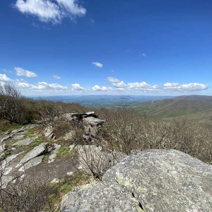 Near Bald Knob Trail