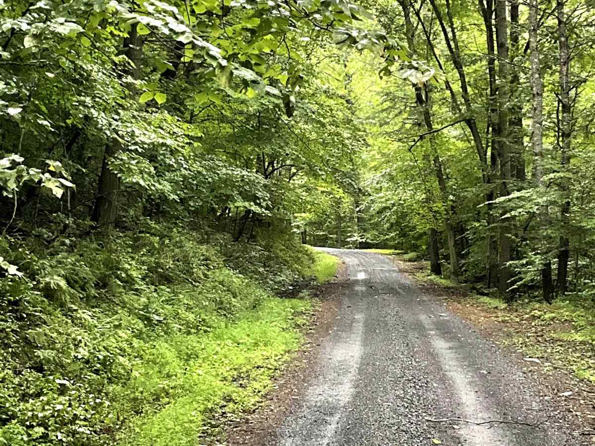 The Knob Road trail photo