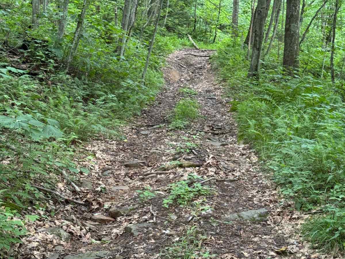 Trail 33 photo 4