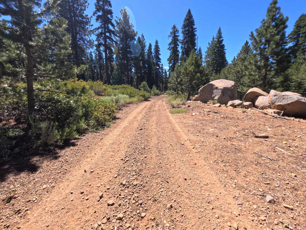 Mini Tie - FS 0007-010-15 trail photo
