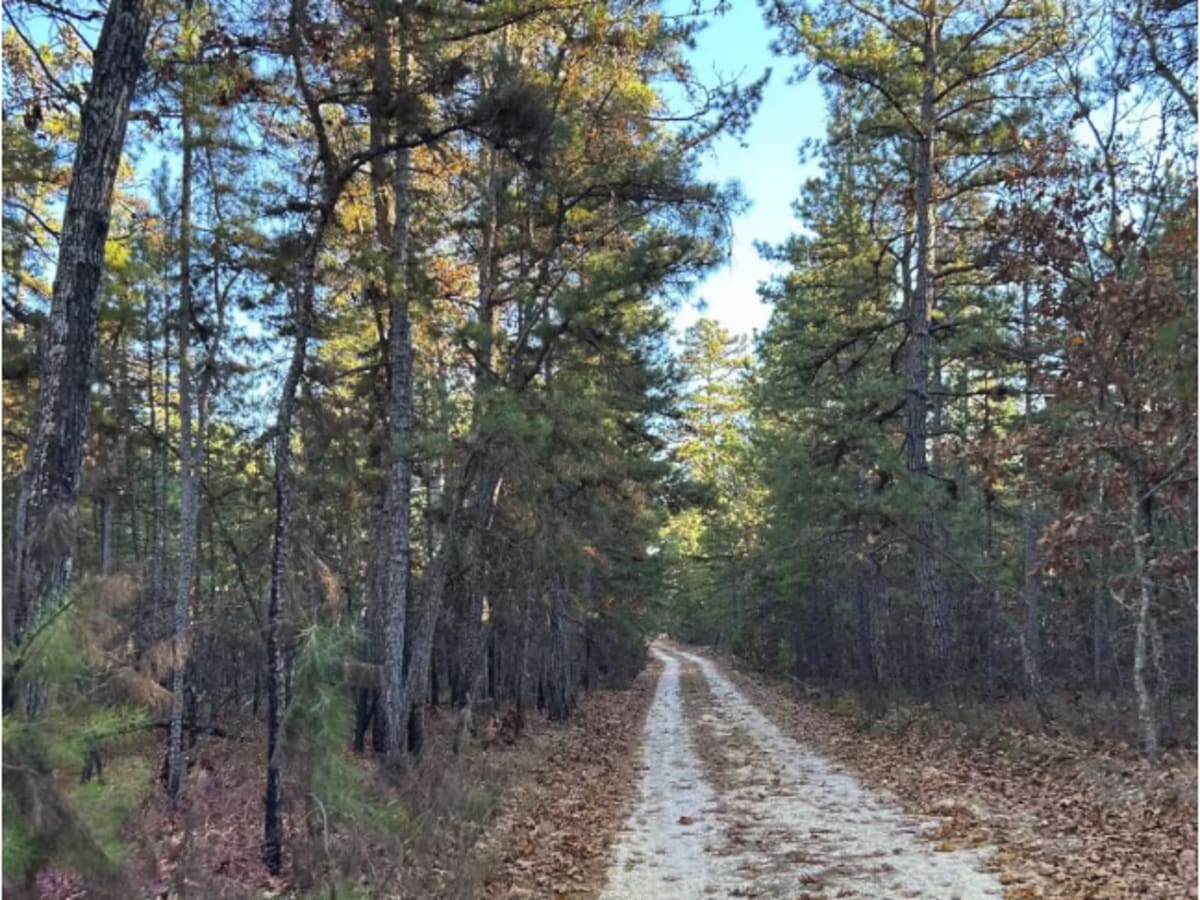 Lee's Trail photo 4