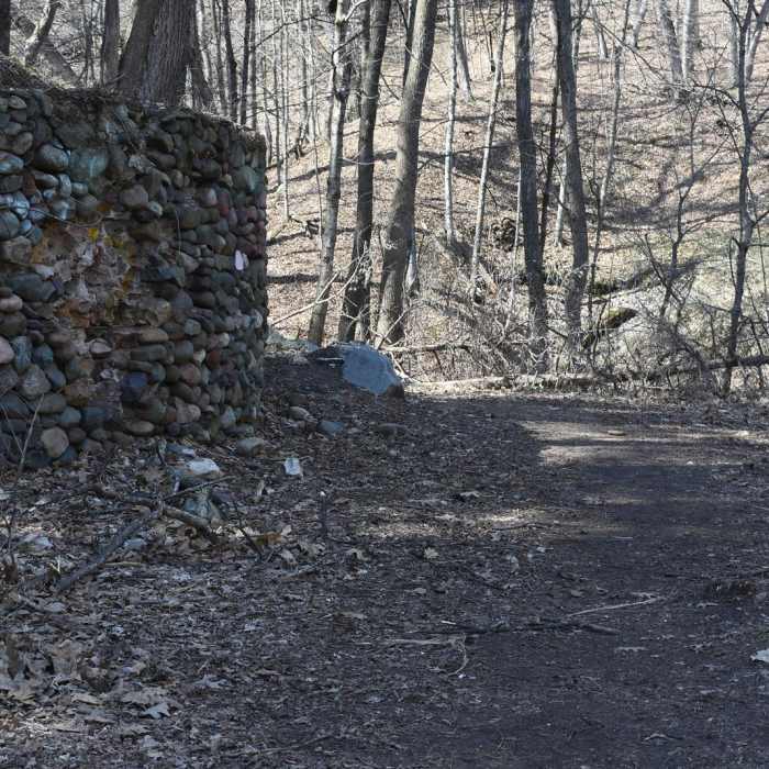 Near Arcola High Bridge Viewpoint Near Arcola High Bridge Viewpoint