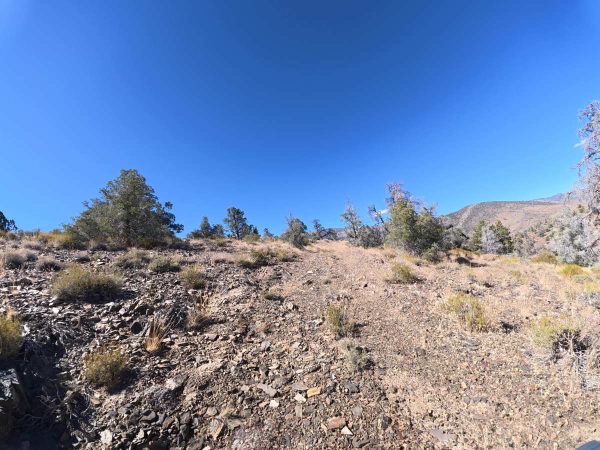 Deep Spring Overlook Trail photo 6