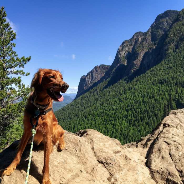 Near Little Si Trail