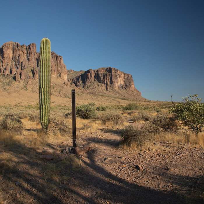 Near Mountain Bike Trail