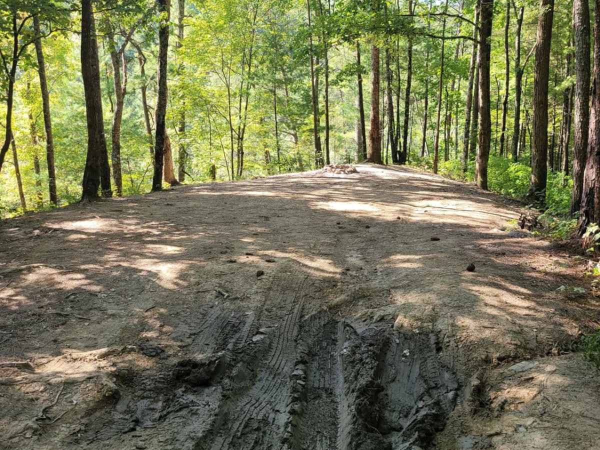 Cohutta Wilderness photo 3