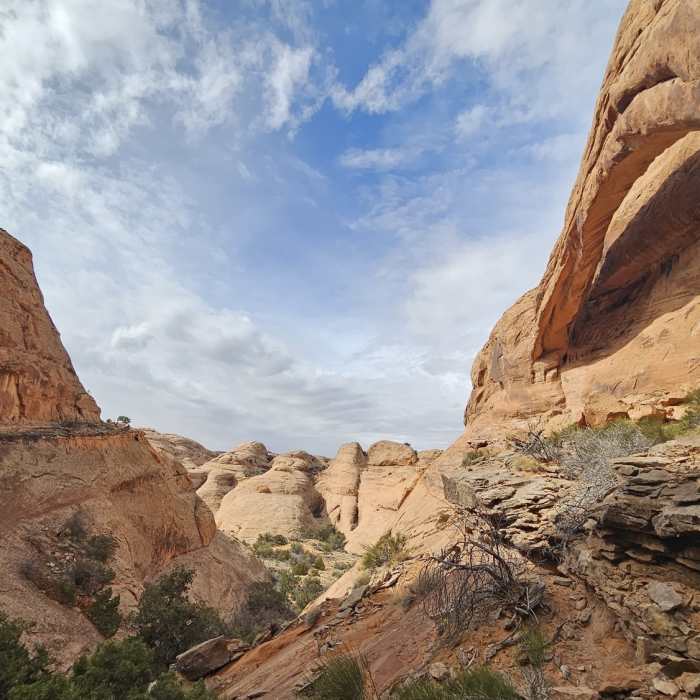 Near Longbow Arch Trail (Longview Arch)