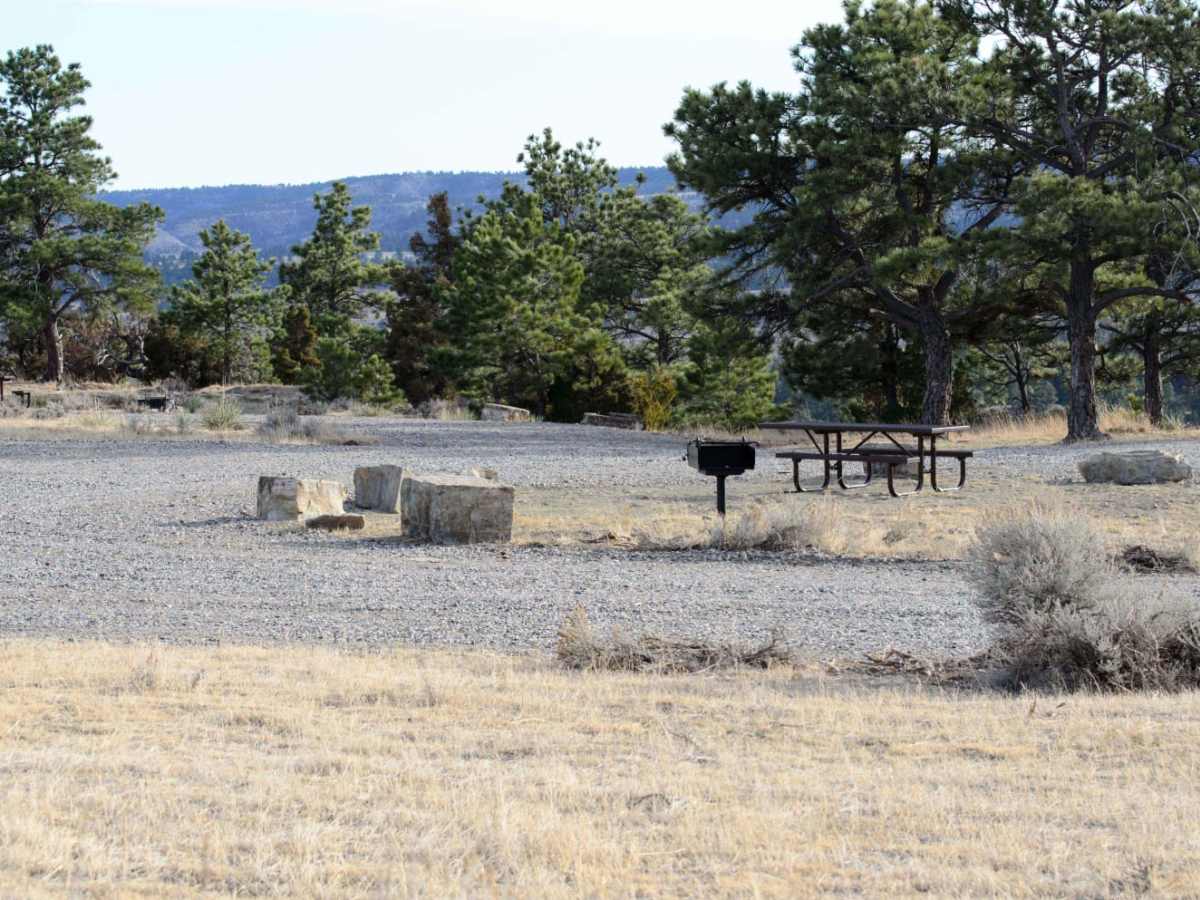 Acton Recreation Area photo 4
