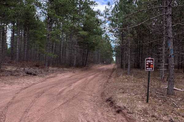 East West Forest Road