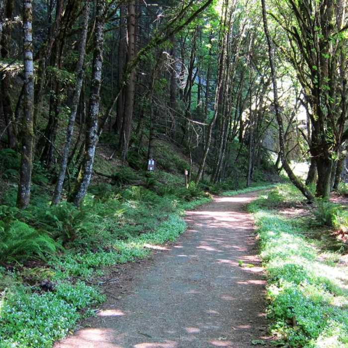 Near Mount Defiance Hike