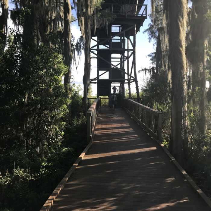 Near Chesser Island Boardwalk