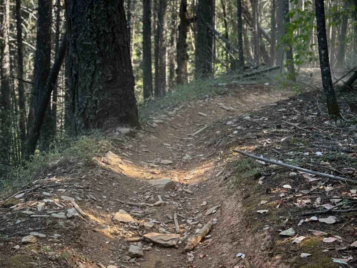 Trail 5 (11E31)   photo 5