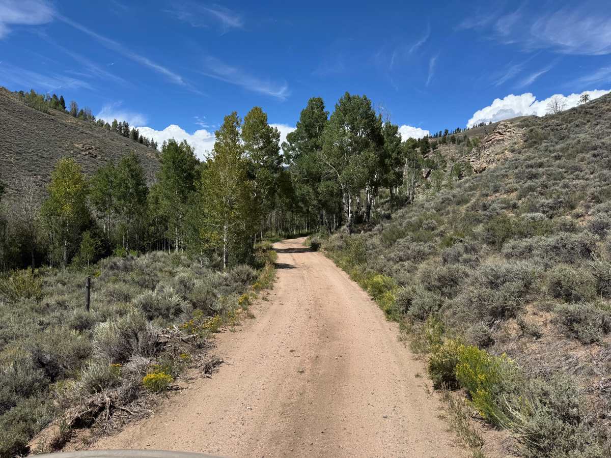 Willow Creek Road trail photo