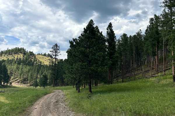 Valley Trail - FS 669
