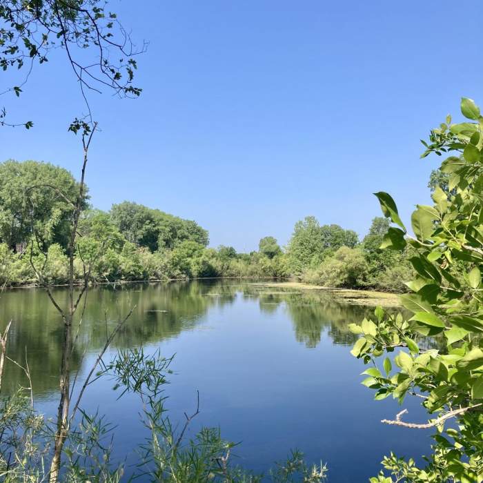 Near Rice Creek West Regional Trail Near Rice Creek West Regional Trail