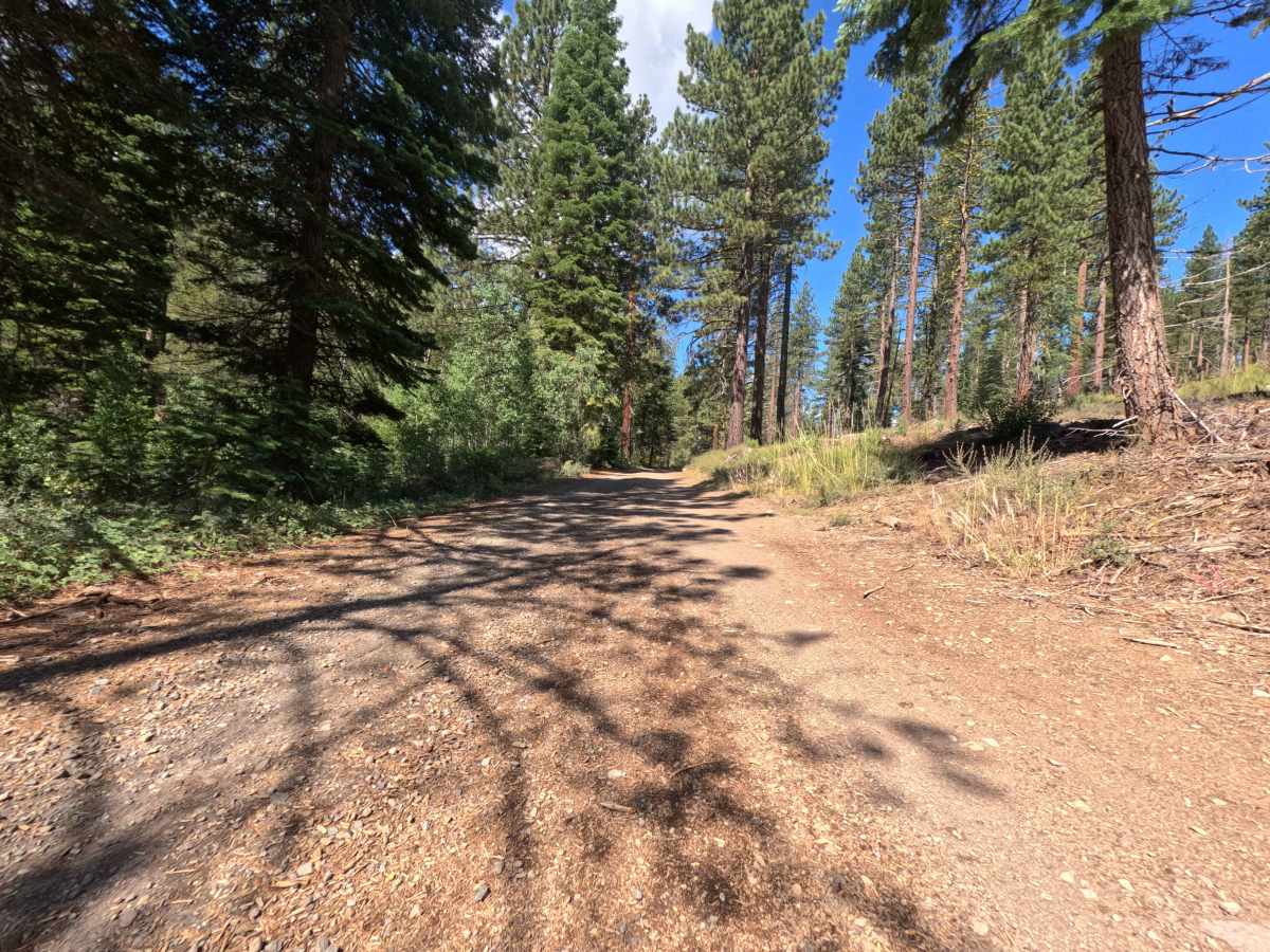 Jackass Point - FS 1 trail photo