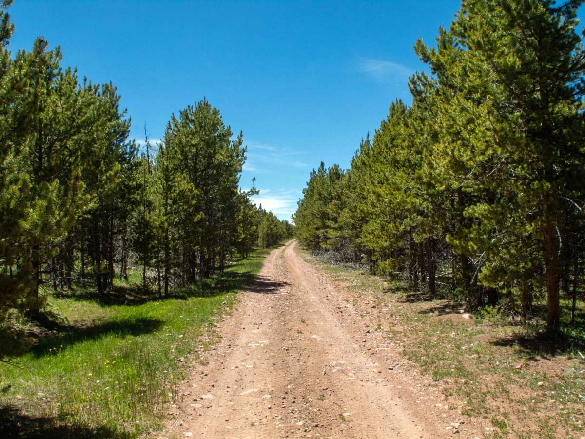 Johnson Meadow - FS 80207 photo 6
