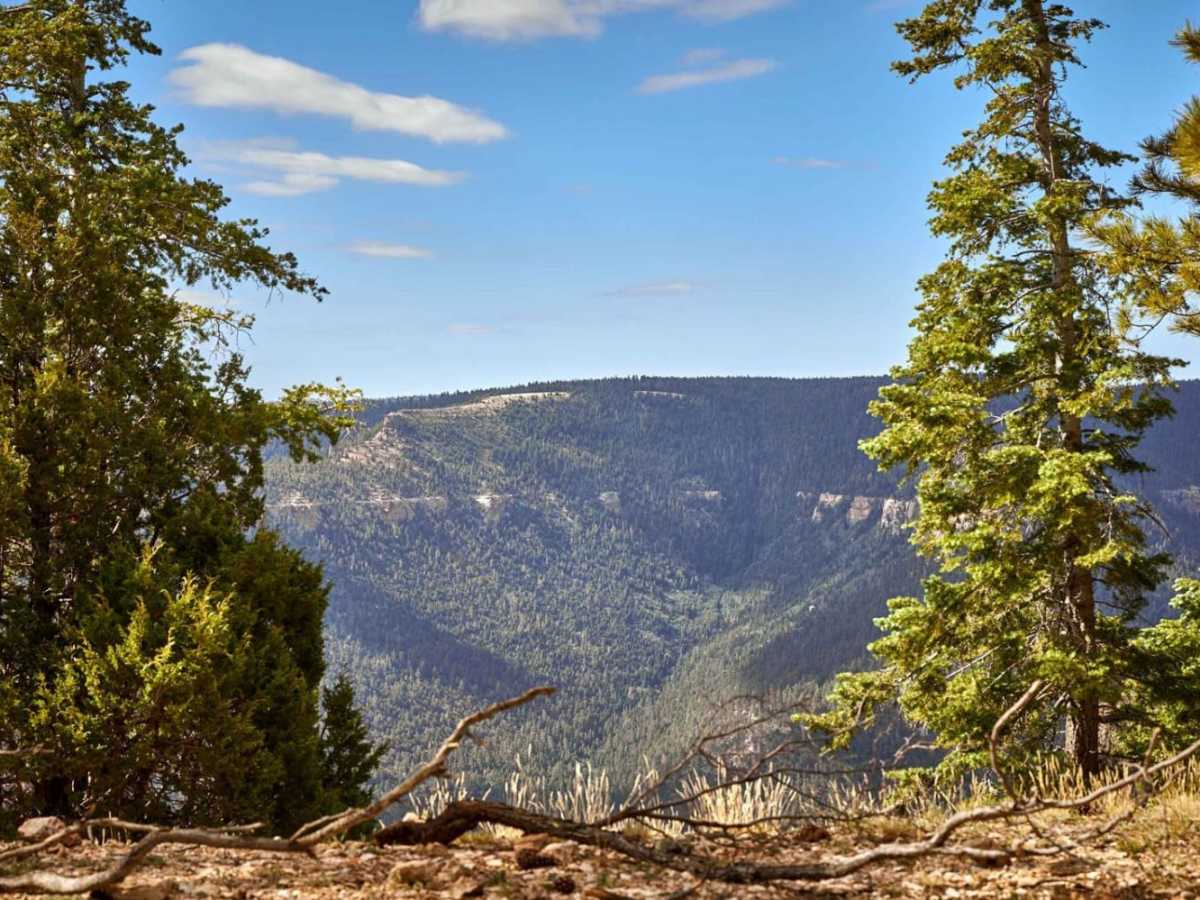 East Rim Ridge Trail photo 5