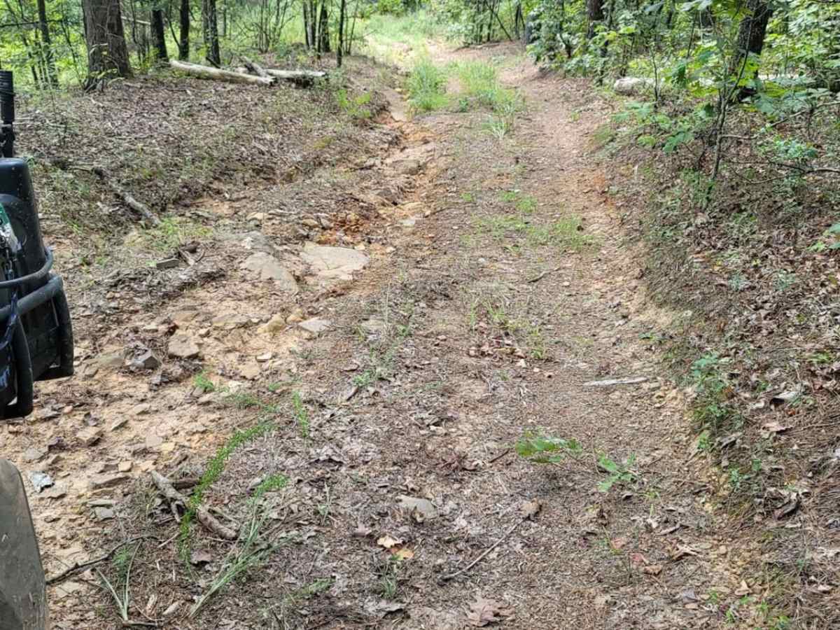 Washout Hill trail photo