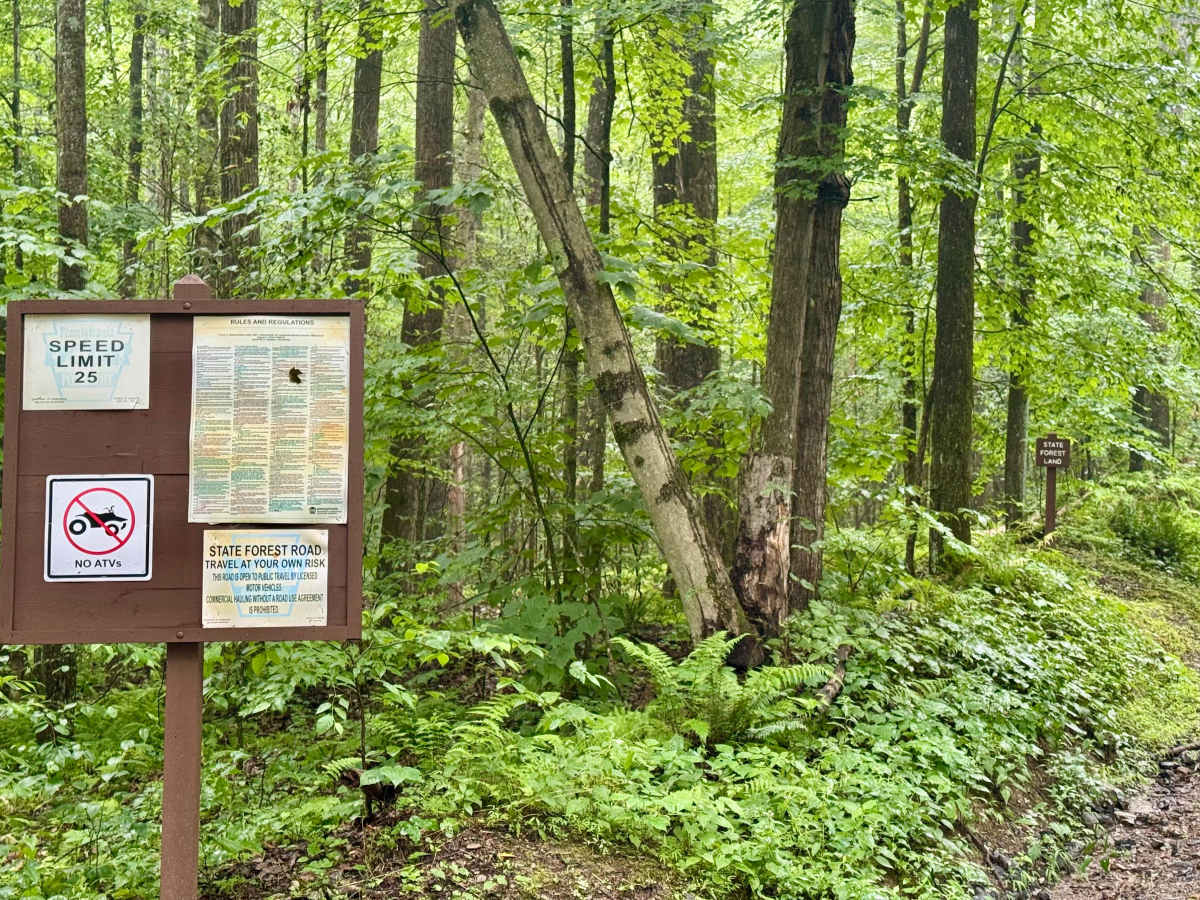 Caledonia Pike photo 5