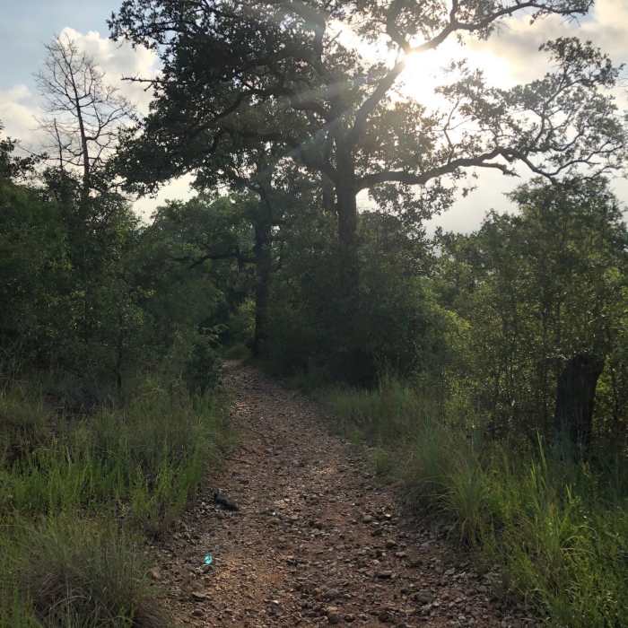 Near Ridge Trail