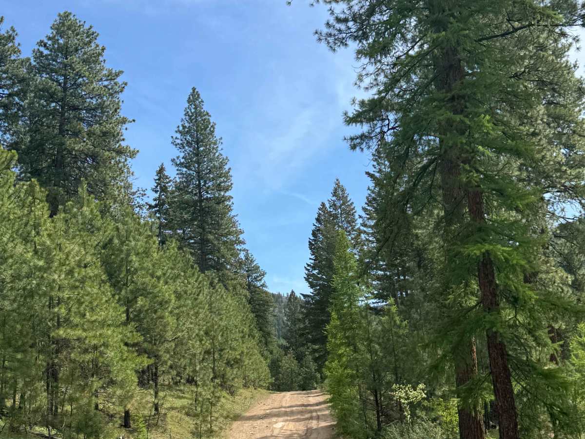 Sherman Creek Trailhead Road photo 4