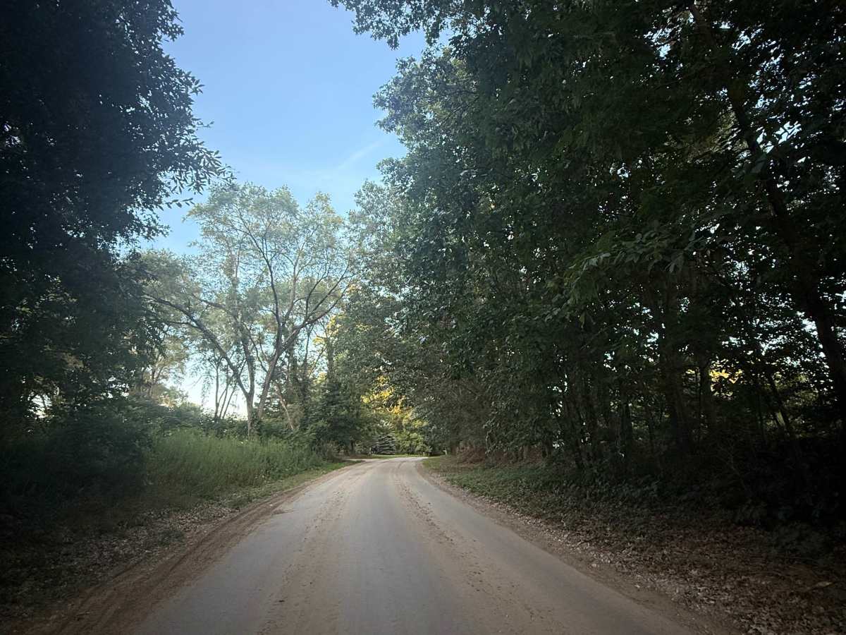 Rush Lake Trail trail photo