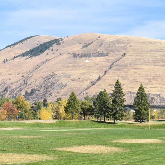 Near The L Trail + Mount Jumbo Summit Loop