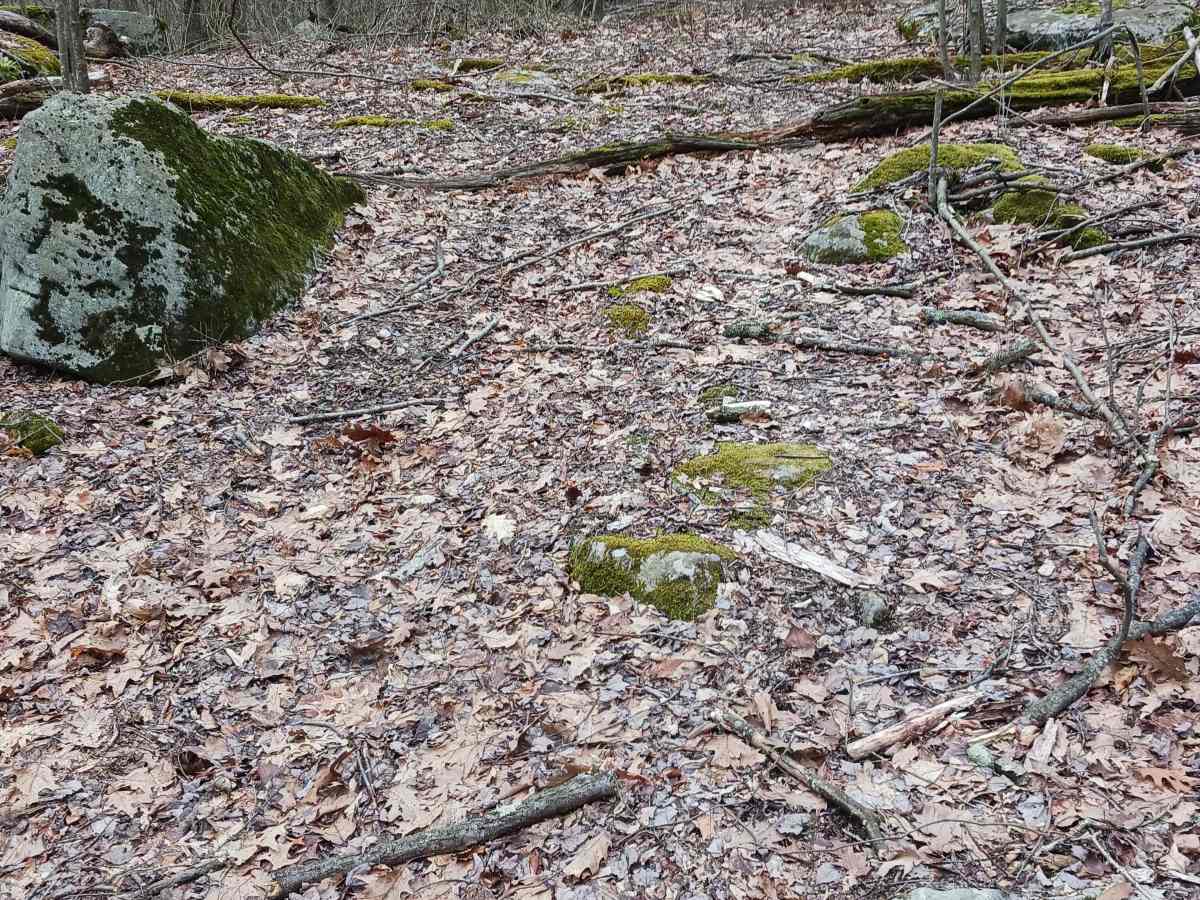 OHV 55 - Rock Run Recreation Area photo 2
