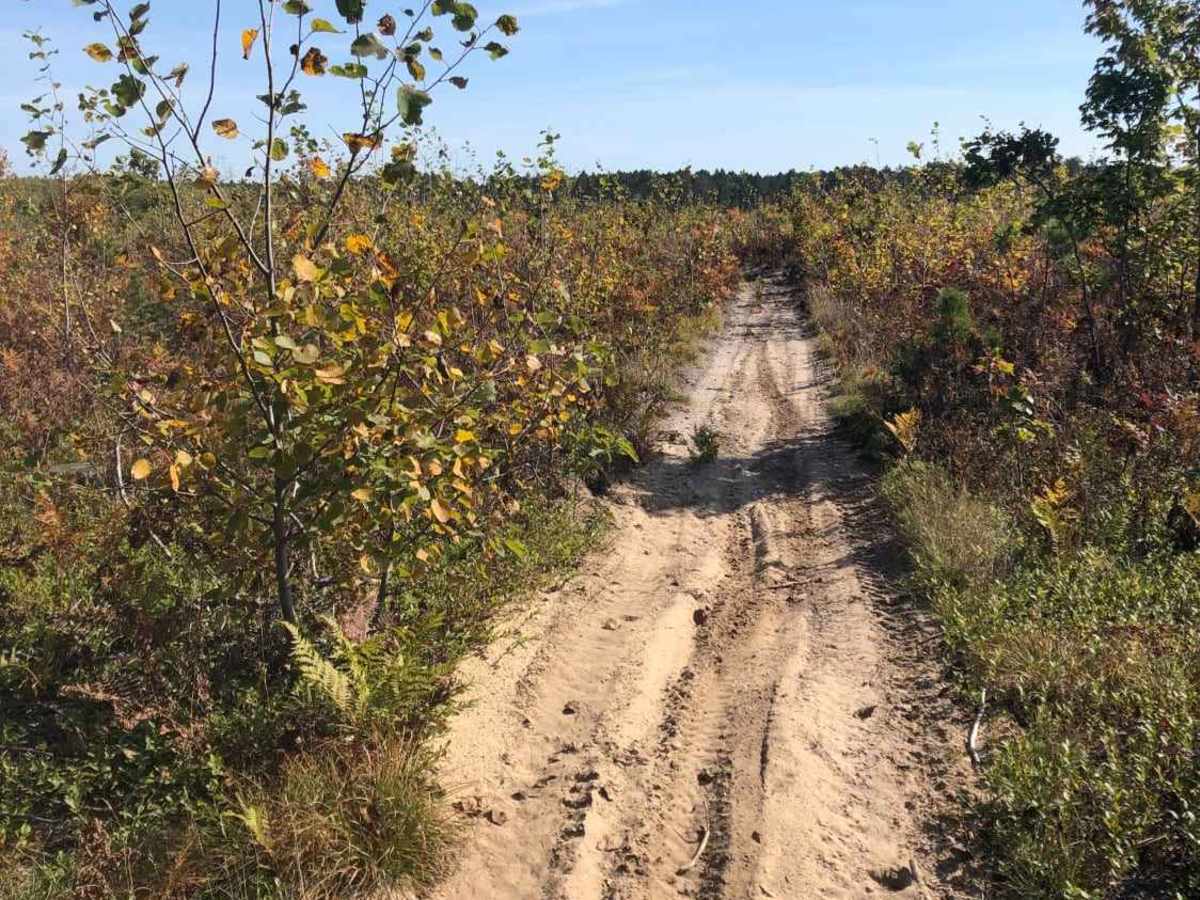 Black Lake North Loop photo 3