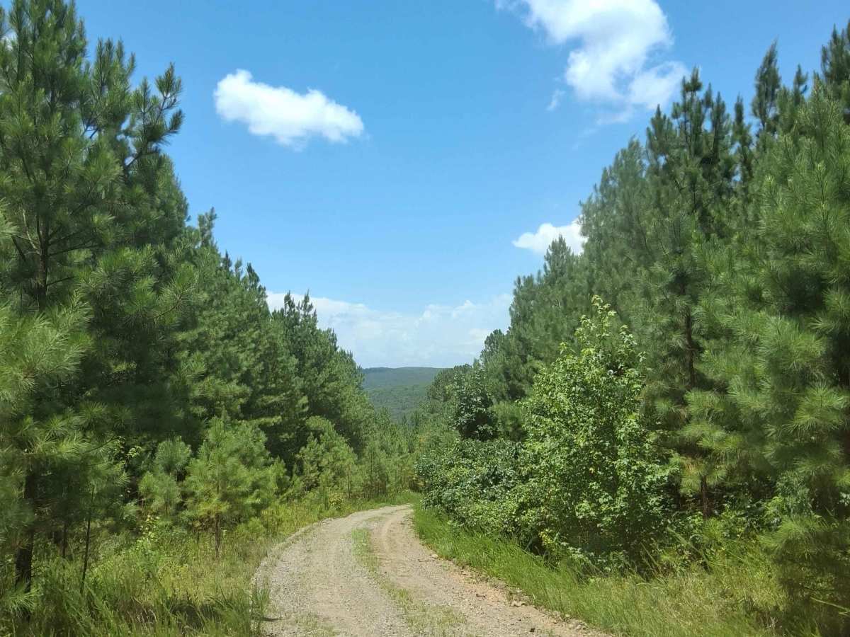 Slick Rock Road photo 4