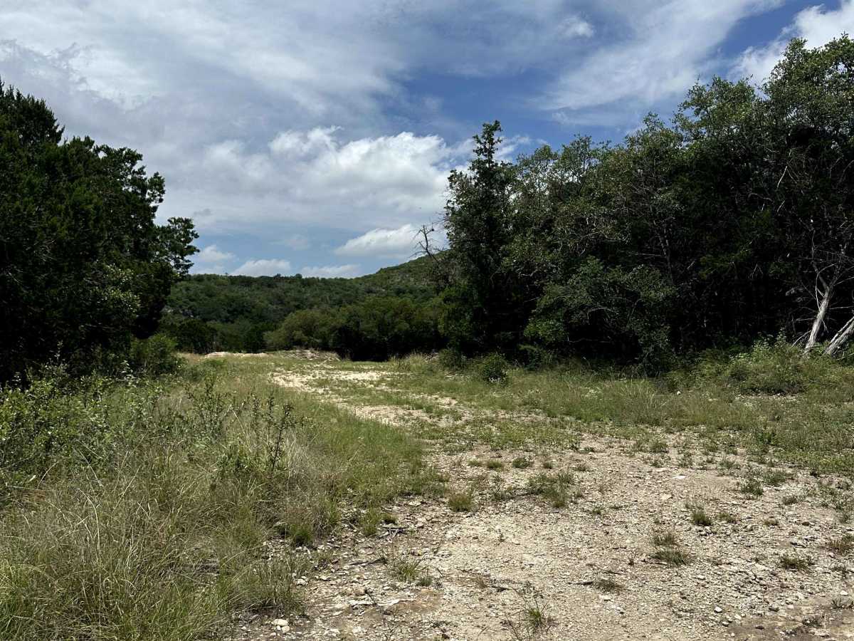 Shady Lane photo 2