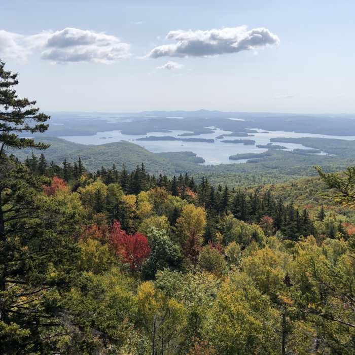 Near Mount Morgan Trail