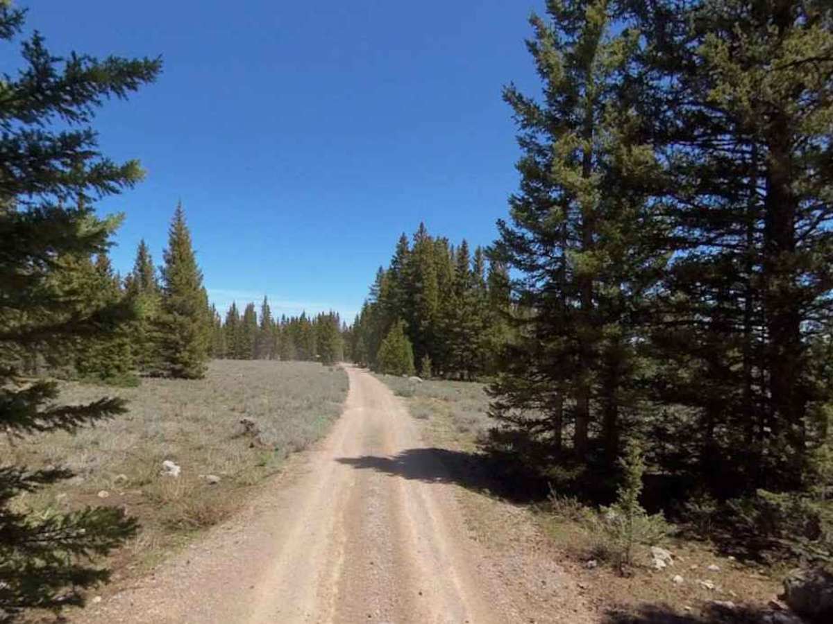 Poison Creek ATV Trail - 34003 photo 6