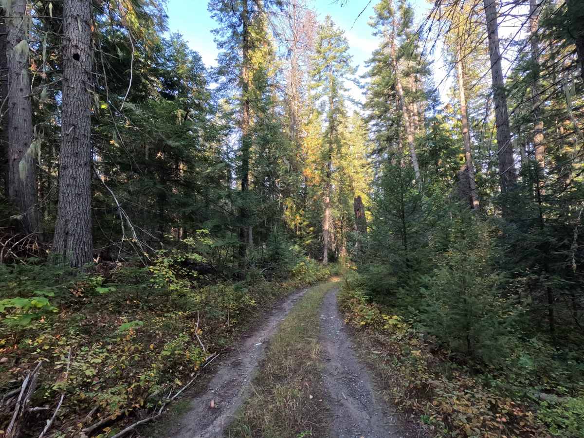 Kidney Pond Road photo 6