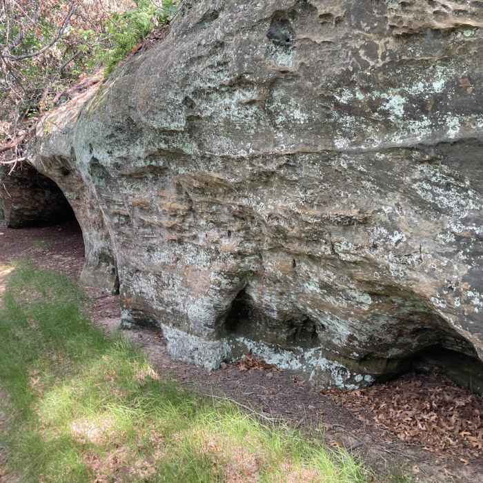 Near Wildcat Mound Loop Near Wildcat Mound Loop